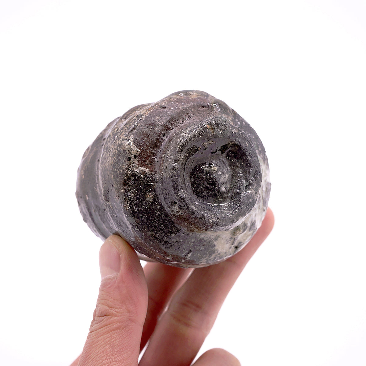 篠原希　引出ぐい呑　SHNGN052P