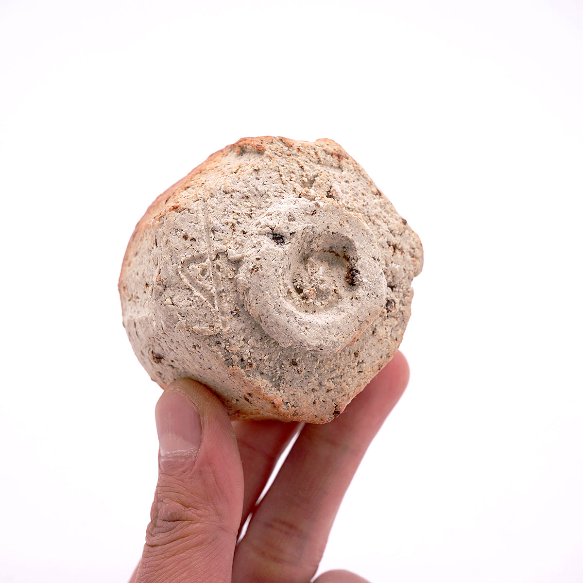 篠原希　シノギぐい呑　SHNGN061P