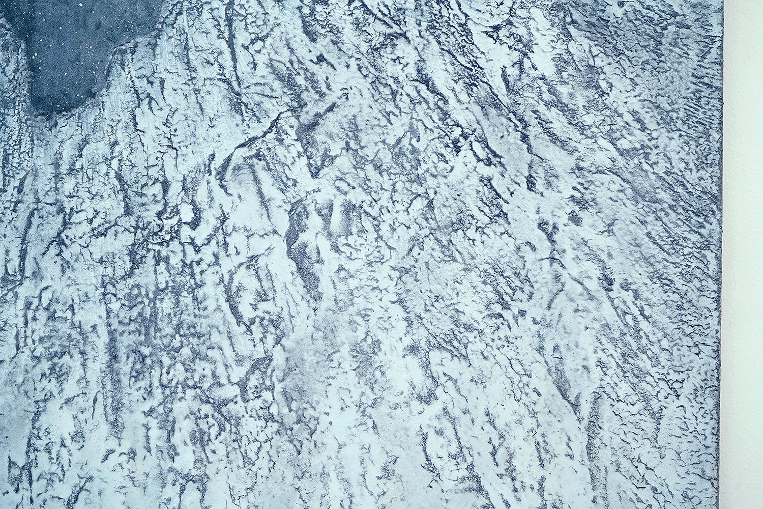 酒井龍一　「磐座の庭」　SRIPN052