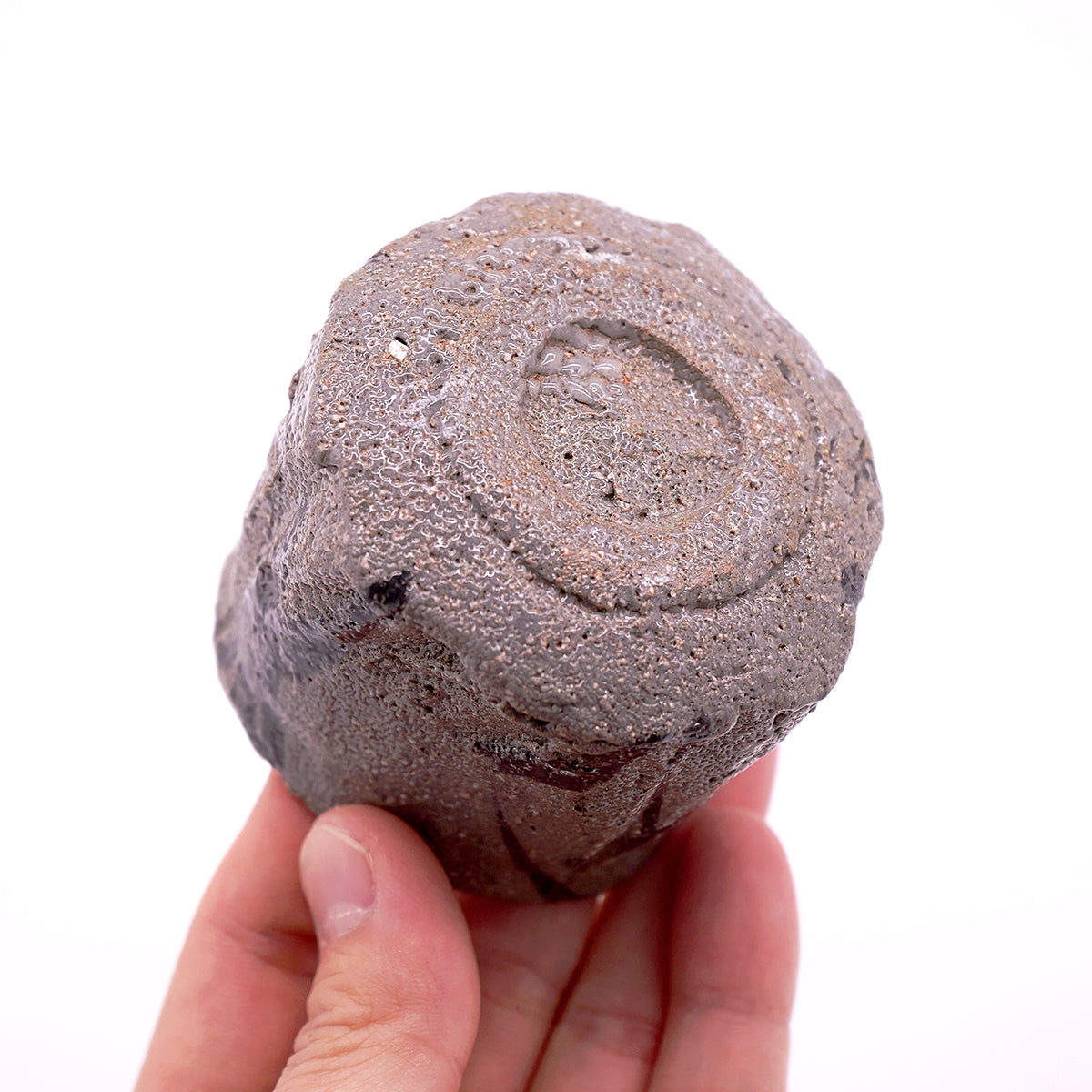 富田啓之　鉄絵草文ぐい呑　TMTGN145P