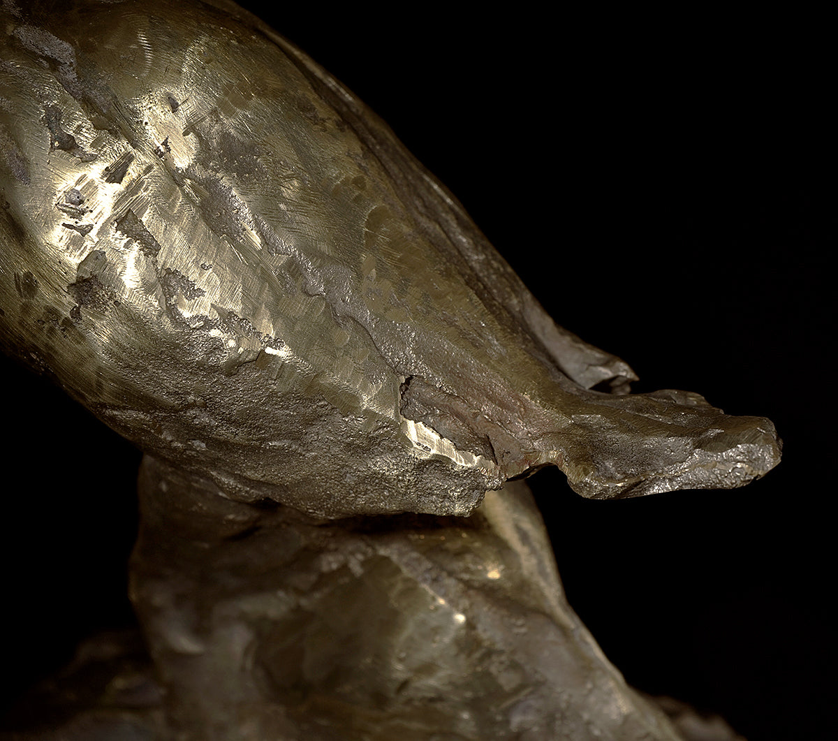 梶浦聖子　「歩く鳥」　KJSOB029