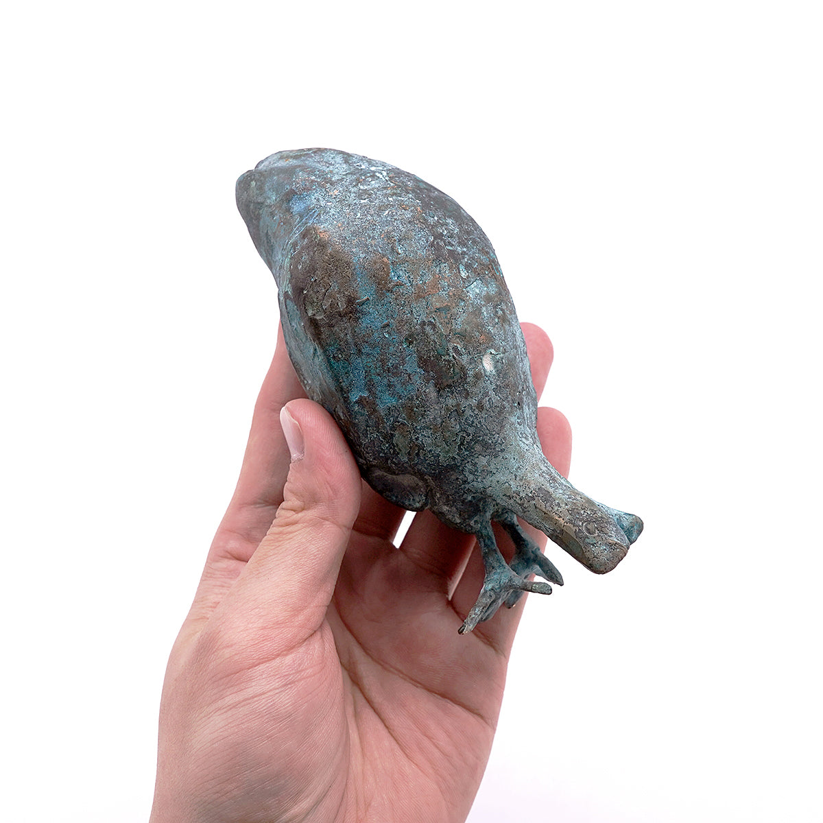 梶浦聖子　「想う鳥」　KJSOB023