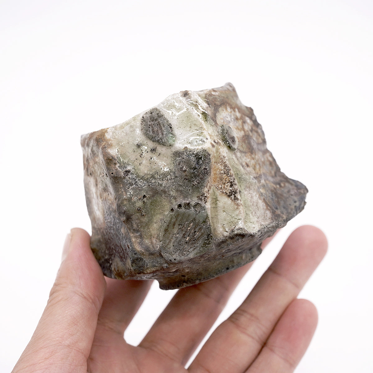 谷本洋　伊賀ぐい呑　TMYGN013P