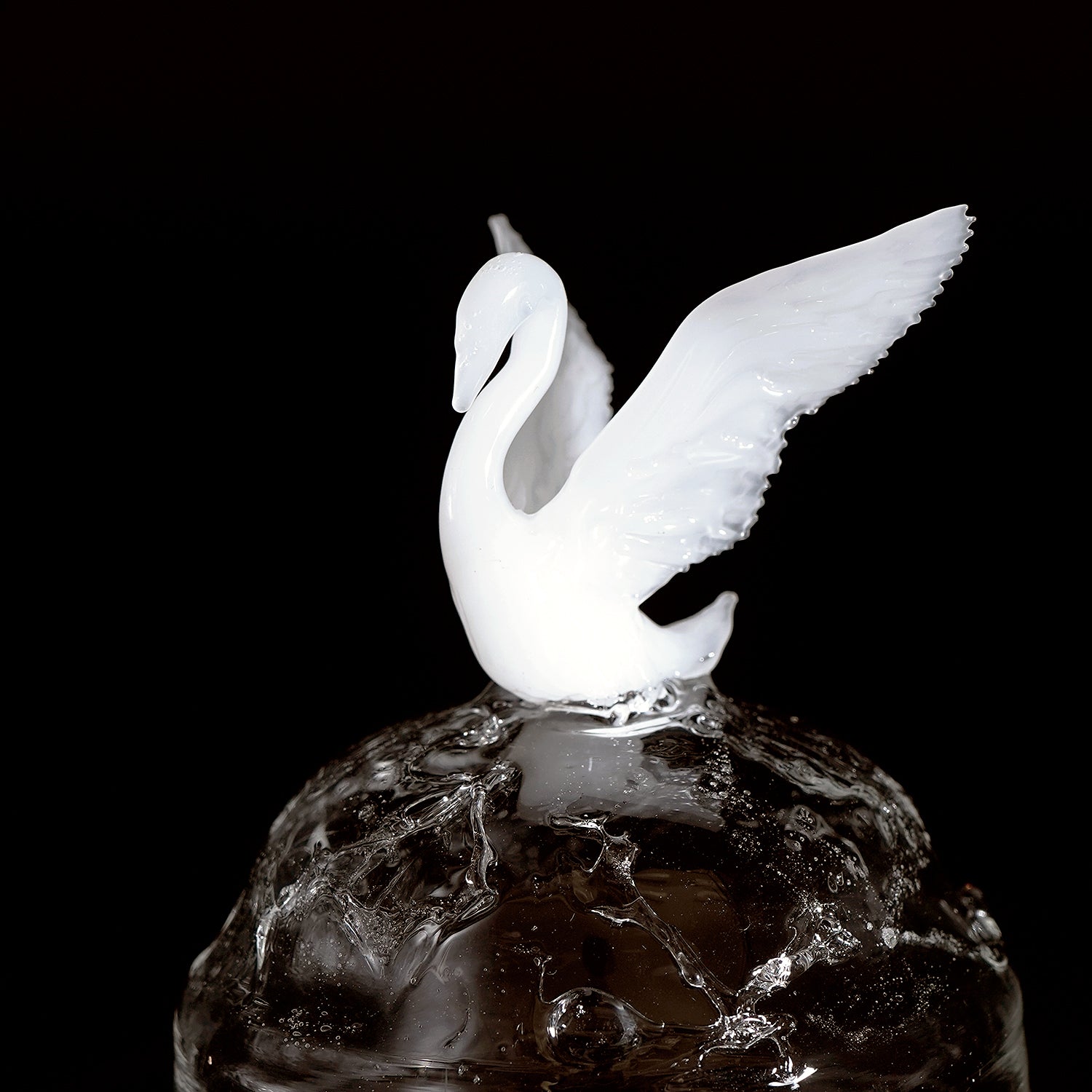 大下邦弘　白鳥の湖　OSKOB016