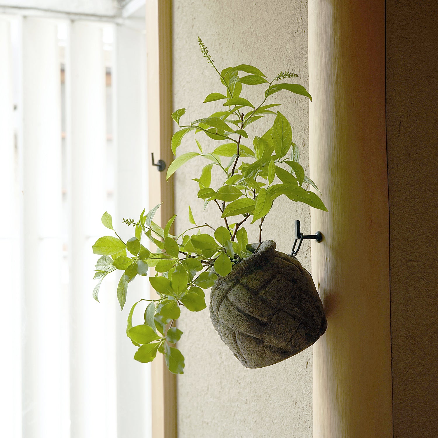 伊豆野一政　かたどりの器　　IZNFV019