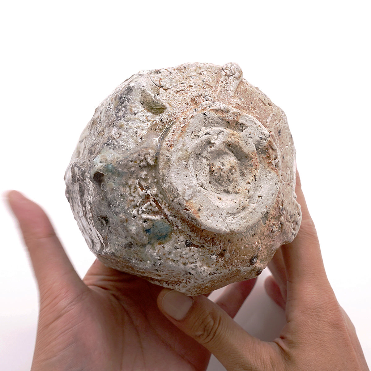 篠原希　シノギ茶碗　SHNTB025P