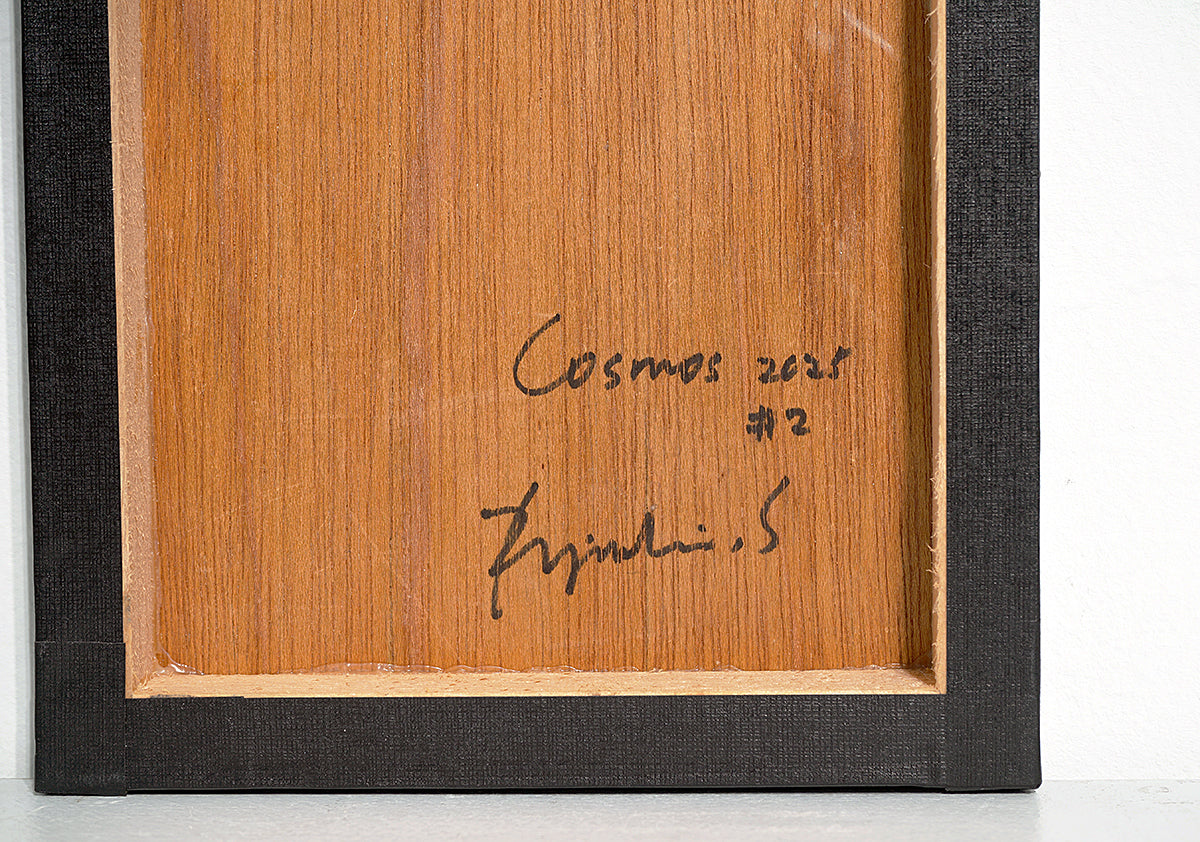 酒井龍一　「Cosmos #2」　SRIPN059