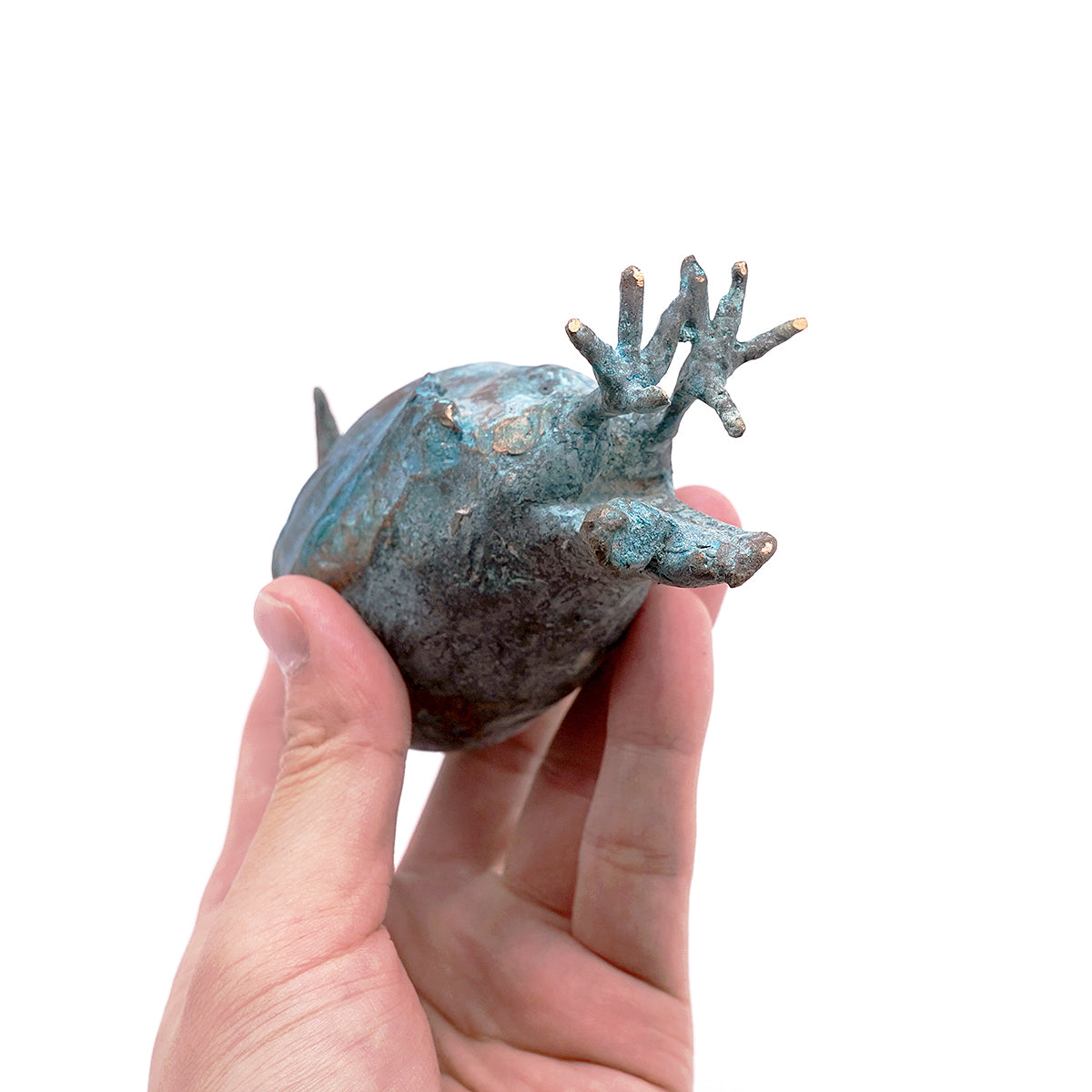 梶浦聖子　「想う鳥」　KJSOB023