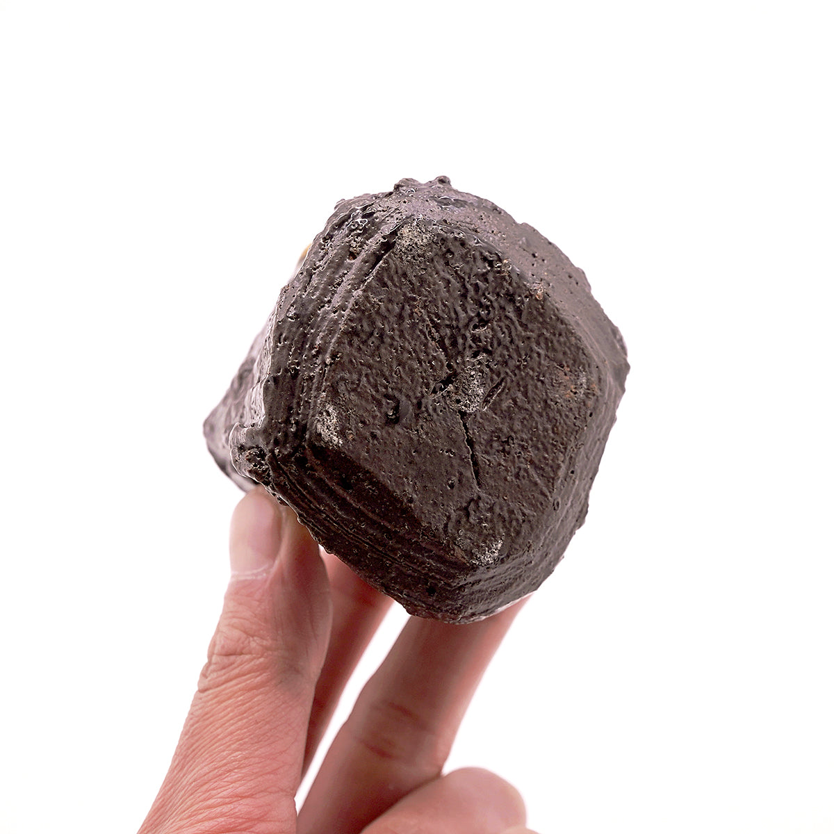 富田啓之　金彩市松文薄茶器　TMTTI023P