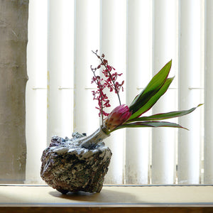 千寿屋久杉 花器 花瓶 器 桐箱入り 千寿屋久杉 花器 花瓶 器 桐箱入り