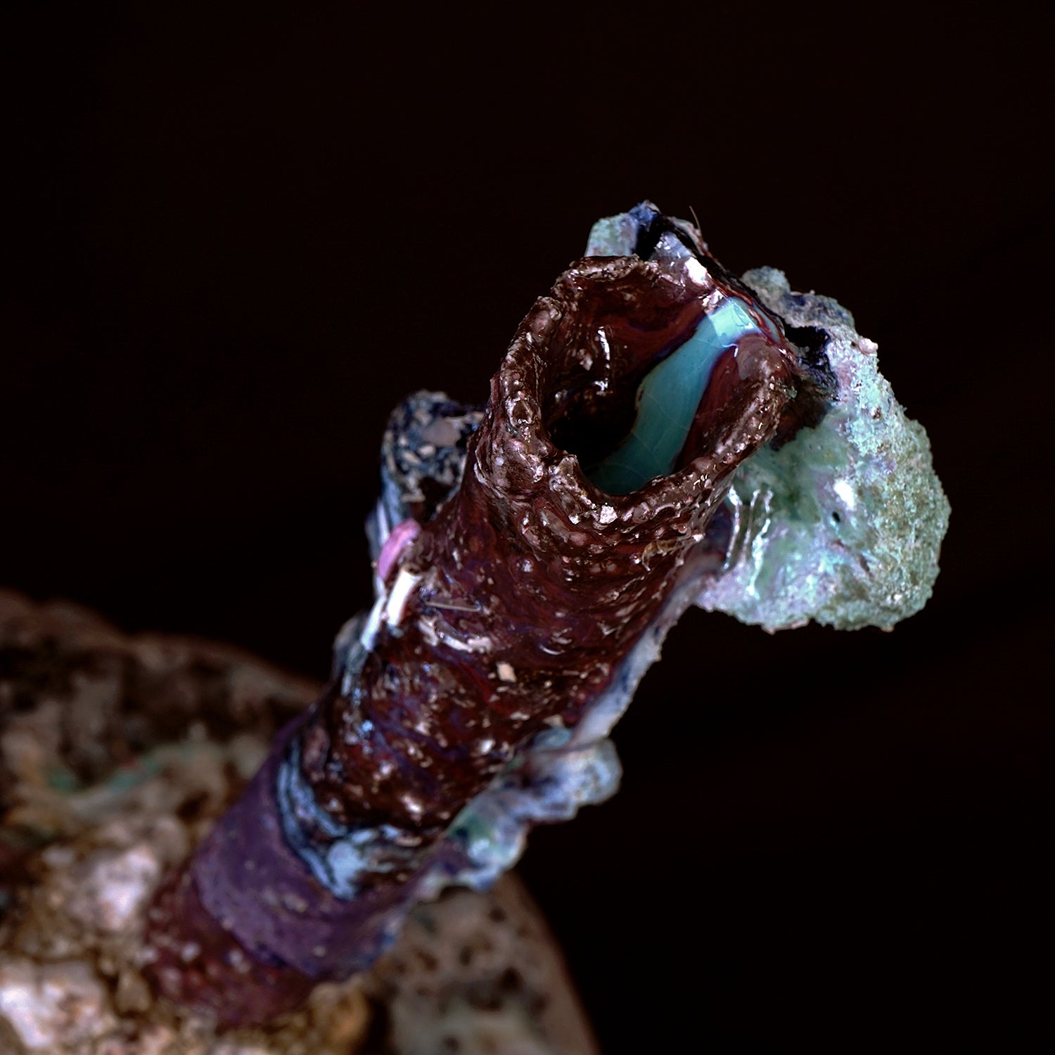 木ノ戸久仁子　つぼになりたかった石　KNKOB042