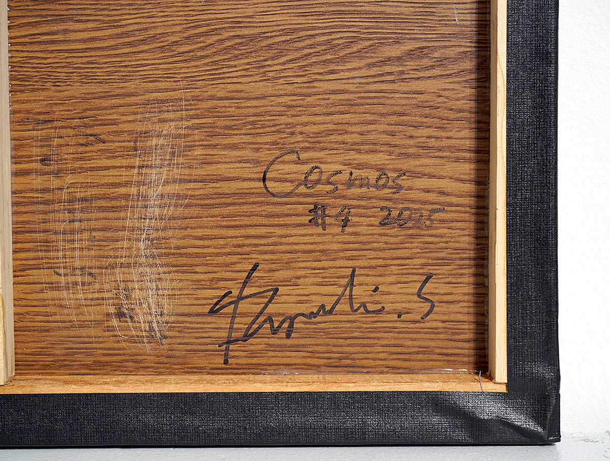 酒井龍一　「Cosmos #4」　SRIPN061