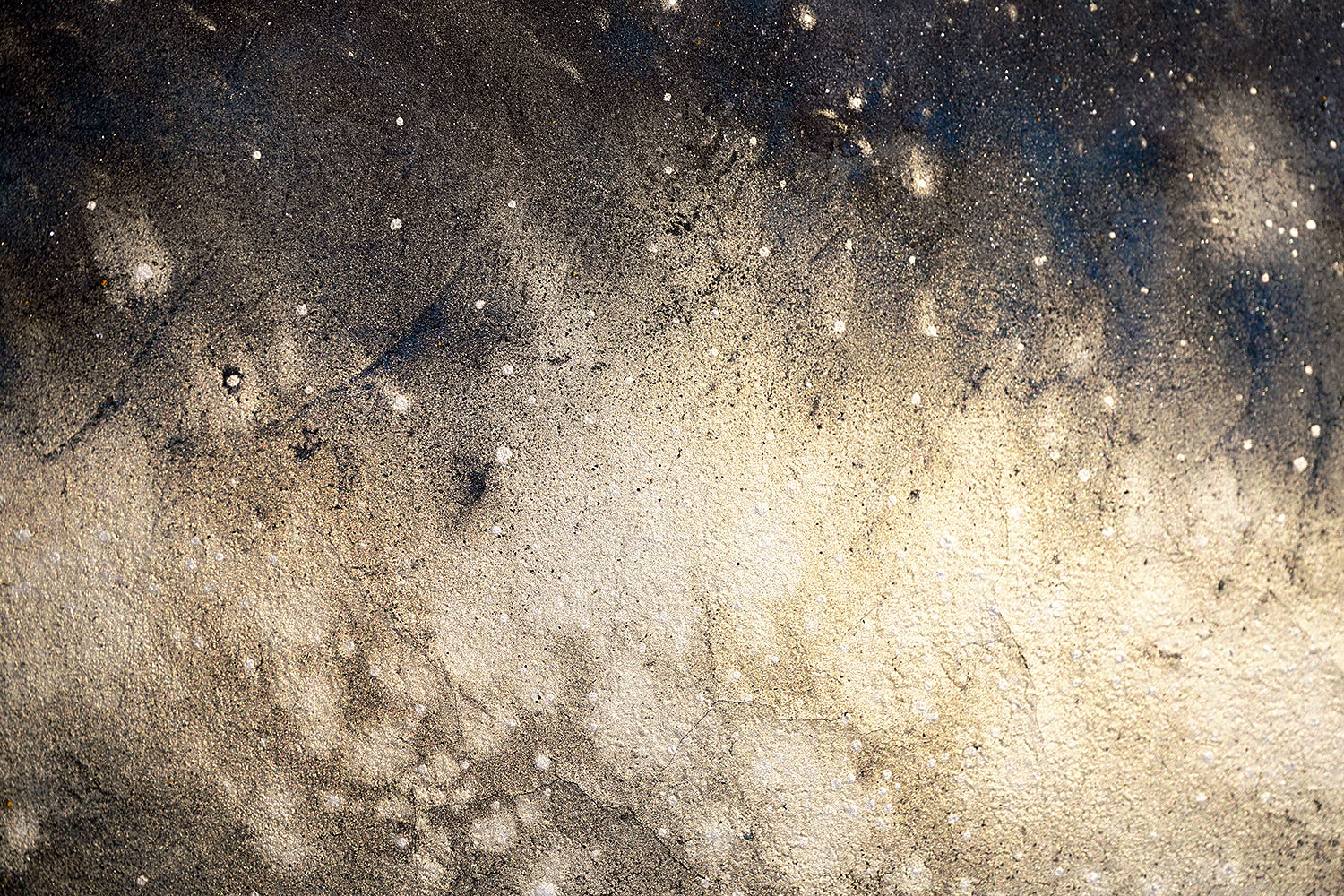 酒井龍一　「Cosmos #11」　SRIPN056P