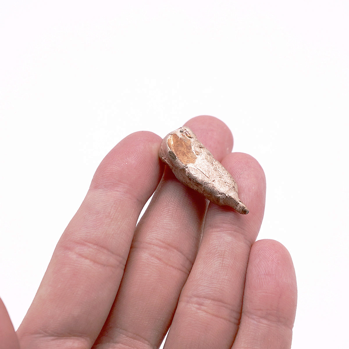 梶浦聖子　「祈る形」　KJSOB026