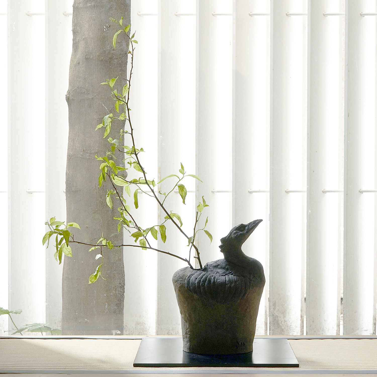 伊豆野一政　連想　　IZNFV021