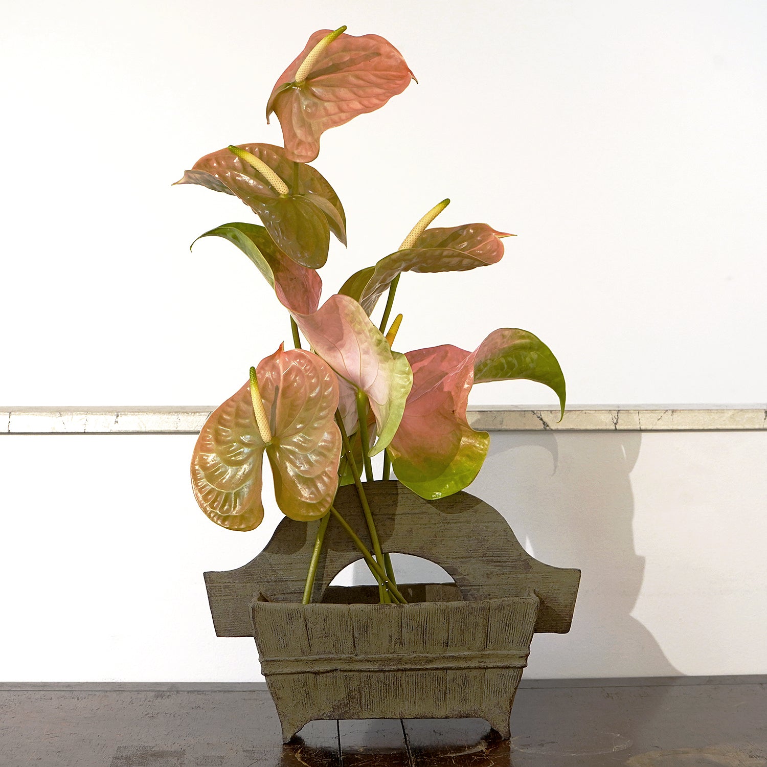 伊豆野一政　角手付き盥　IZNFV017P