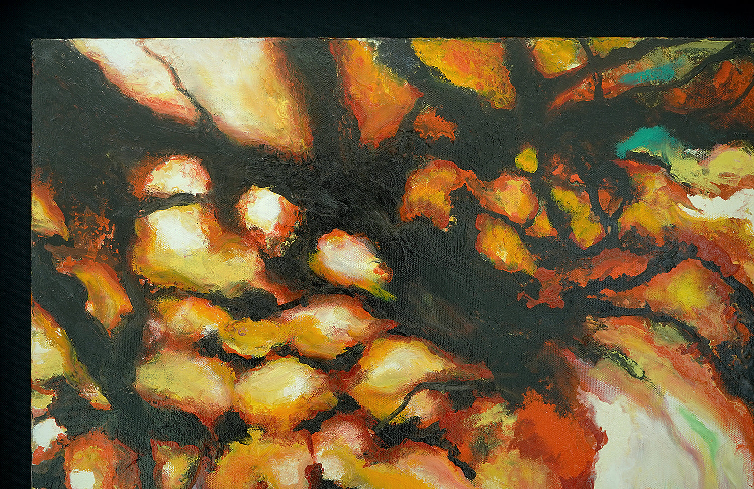 藤本絢子　「Night Flowers」　FMAPN037