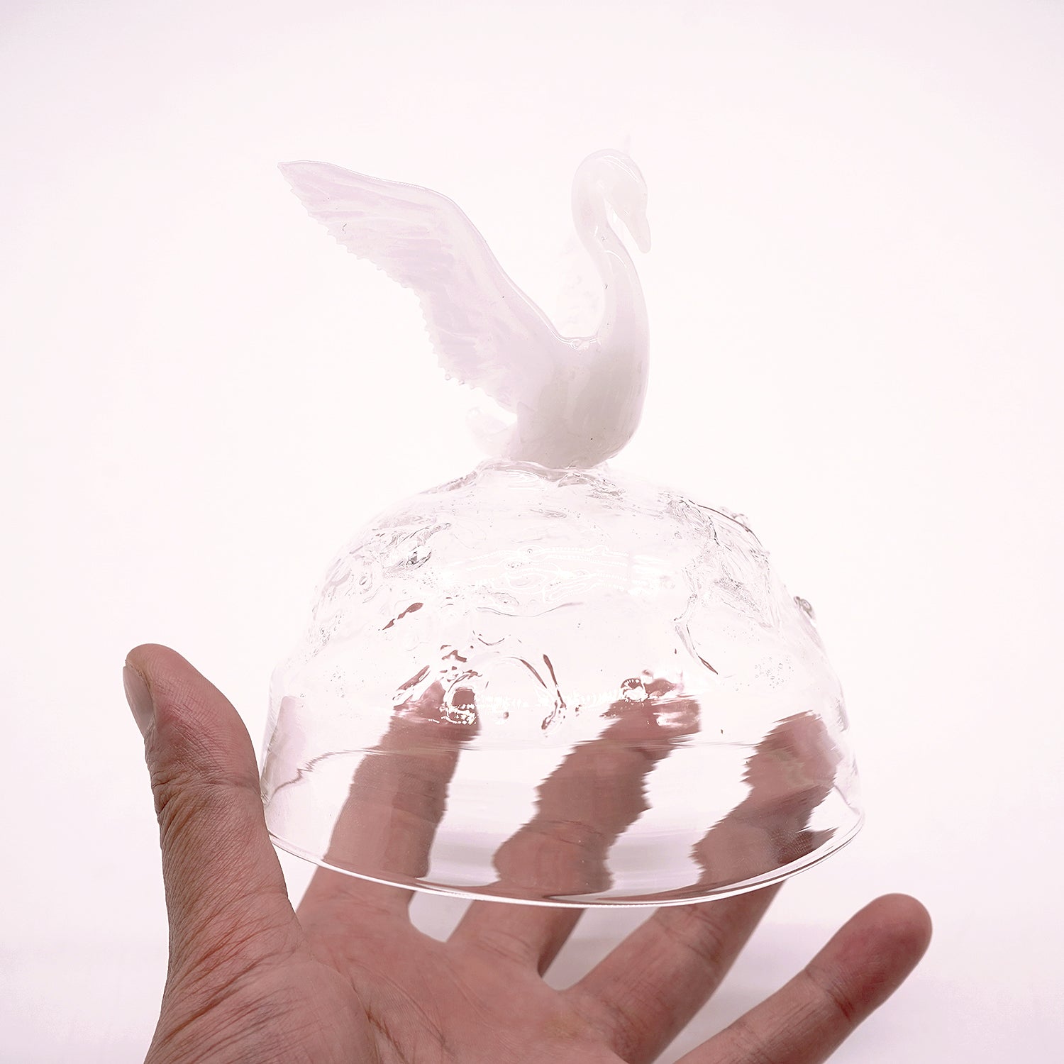 大下邦弘　白鳥の湖　OSKOB016