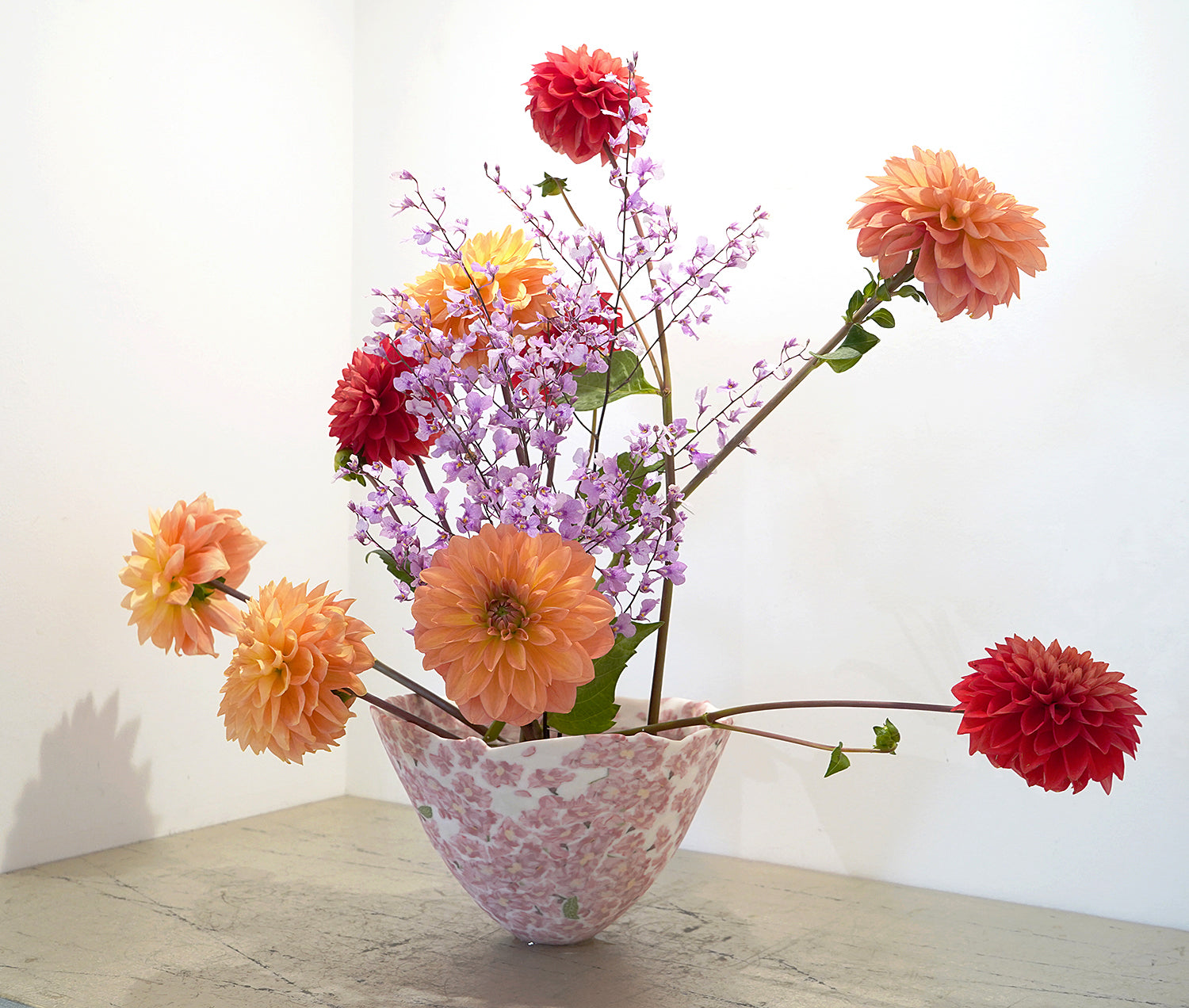 高橋由紀子　桜鉢　THYFV001