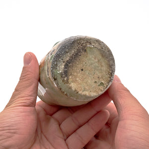 谷本洋 伊賀茶器（黒柿蓋） TMYTI011P – 白白庵（PAKUPAKUAN）