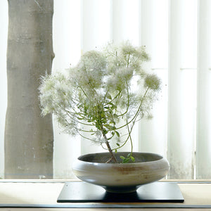 白白庵オンラインショップ＊PAKUPAKUAN.SHOP – 白白庵（PAKUPAKUAN）