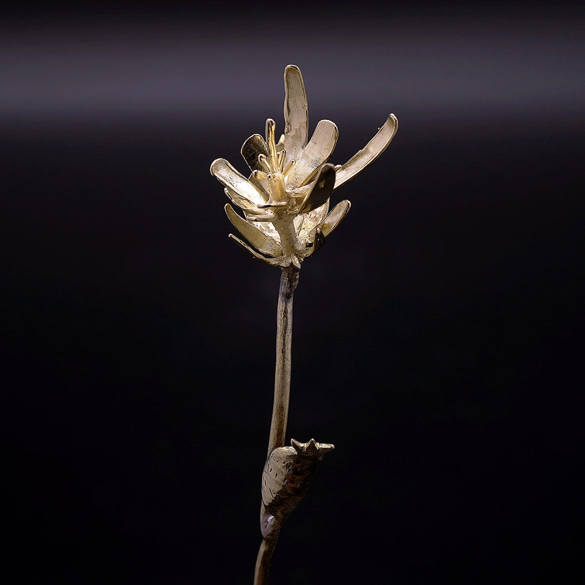 梶浦聖子　「Brass Flower」　KJSTU001